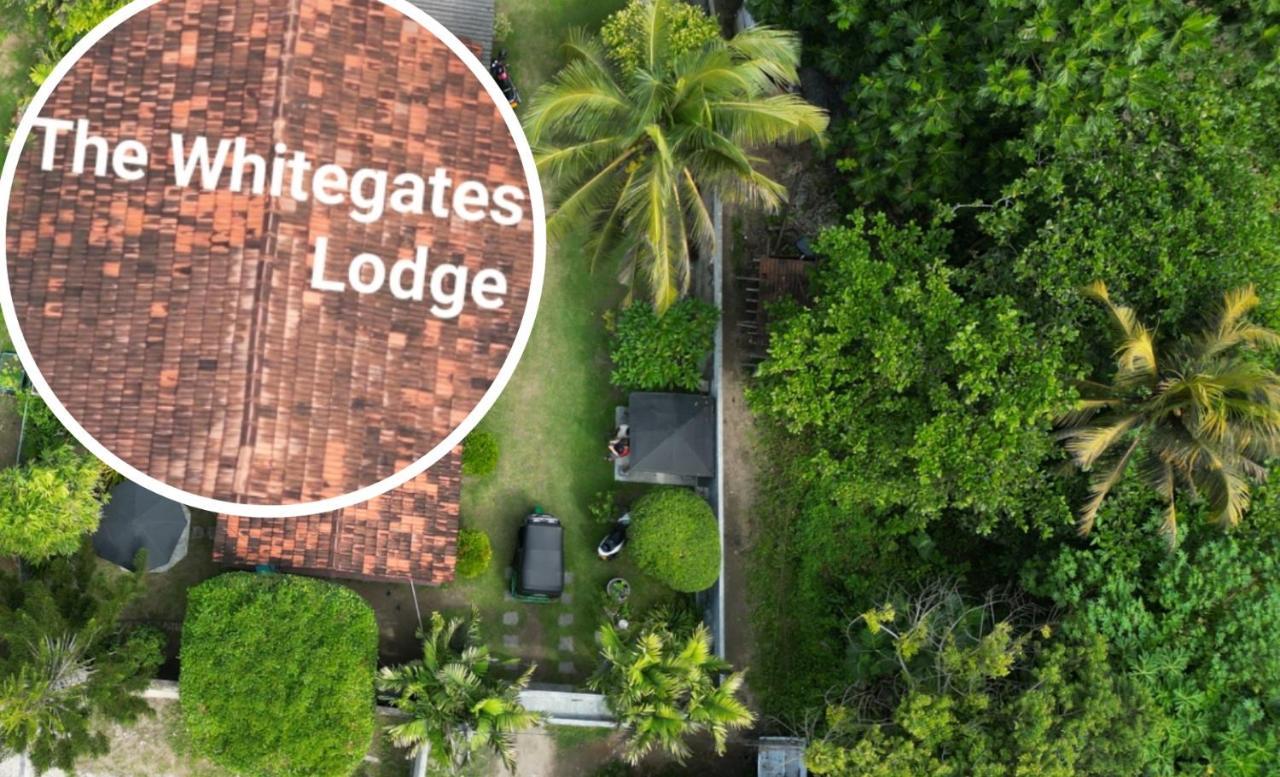The Whitegates Lodge Weligama Exterior foto