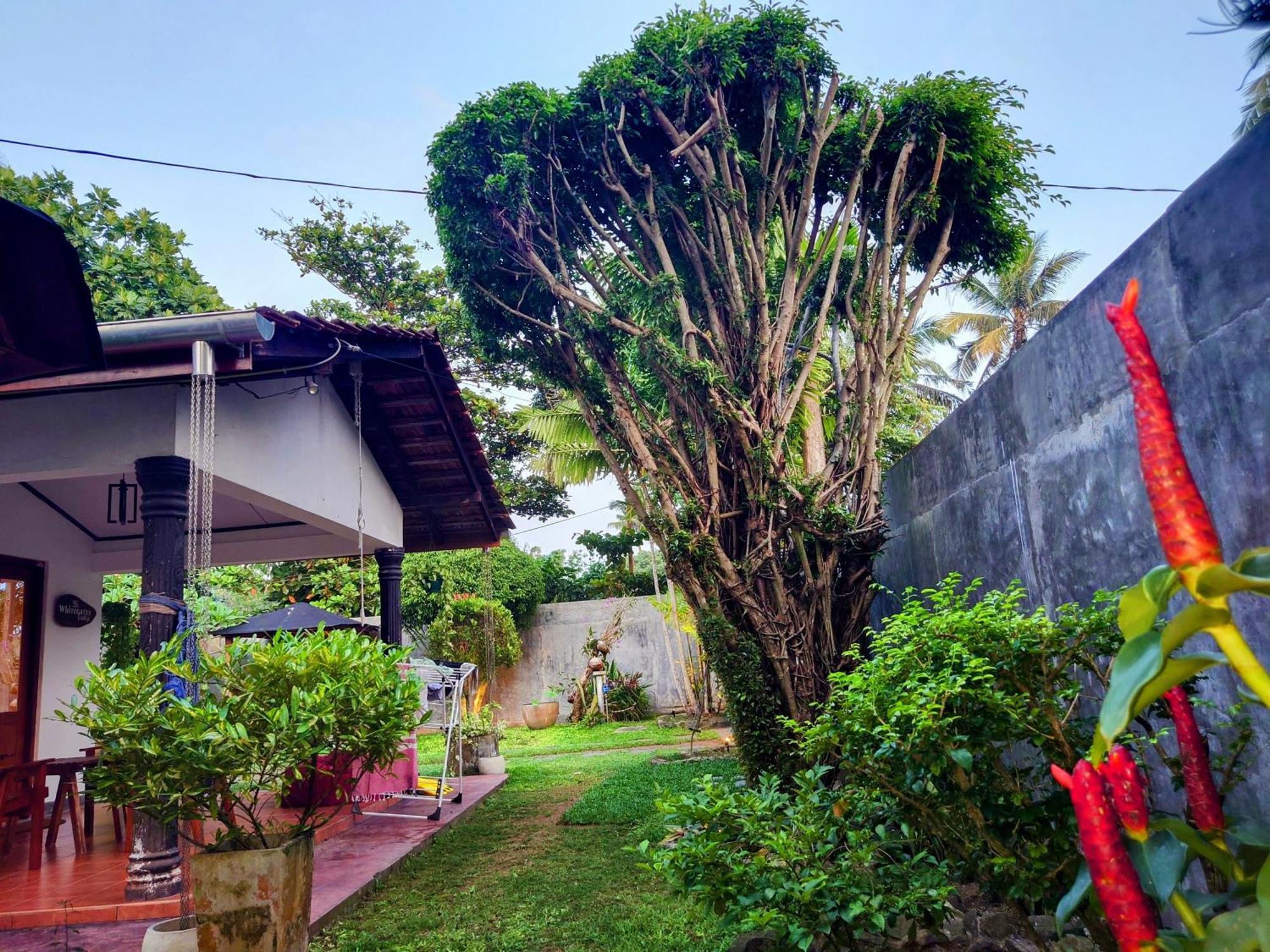 The Whitegates Lodge Weligama Exterior foto